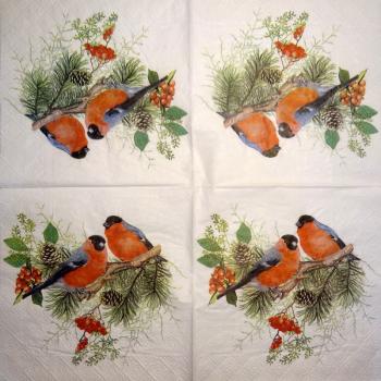 172 Vögel - 3-ply - Pia Malmros - Sweden